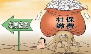 养老保险公司缴纳比例