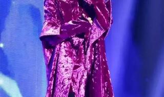 中国好声音澳门演唱会