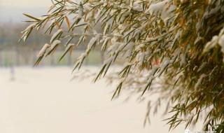 山东大雪暴雪最新消息
