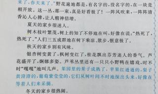 推荐一个好地方四年级作文