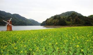广州从化石门森林公园